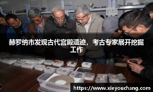 赫罗纳市发现古代宫殿遗迹，考古专家展开挖掘工作